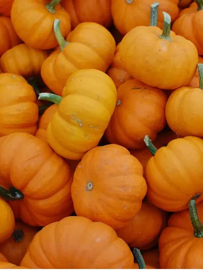 Calabaza orgánica